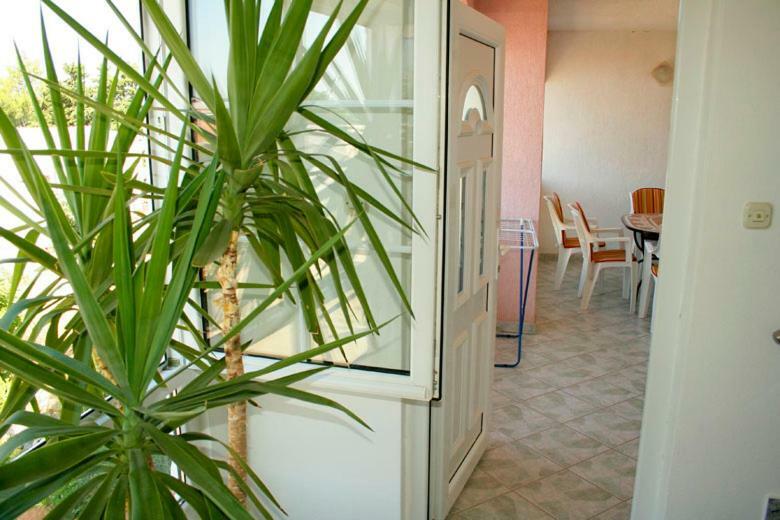 Apartments Mirjana - Stara Novalja Extérieur photo