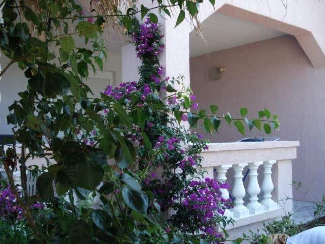 Apartments Mirjana - Stara Novalja Extérieur photo